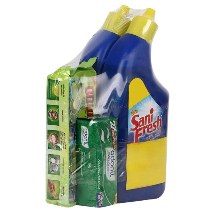 SANIFRESH COMBO PACK ODONIL 100 G + ODOPIC 500 GM